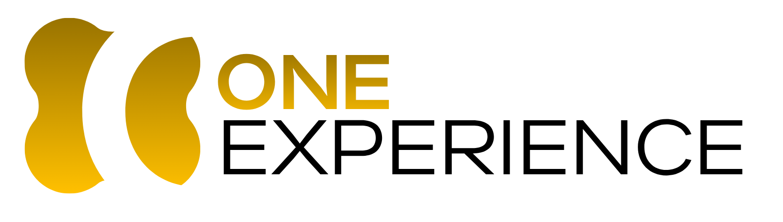 One Experience